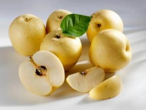 manfaat buah pir
