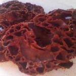 Jual Sarang Semut Papua Asli Murah