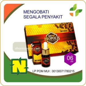 24 NANO PROPOLIS