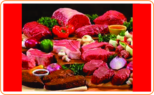 23 protein hewani