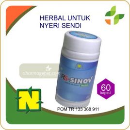 26 RS SINOV
