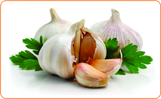 6 bawang putih