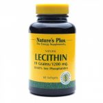 Jual Natural Lechitin Atasi Segala Penyakit Dalam Tubuh
