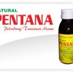 Jual Natural Pentana Berantas Hama Tanaman Ampuh Cepat Dan Kilat