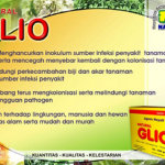 Jual Gliocladium Nasa Kendalikan Penyakit Hama Tanaman