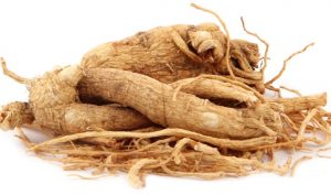 ginseng merah korea