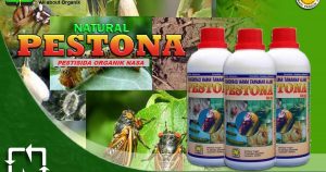 Pestona Obat Pengendali Hama Paling Ampuh