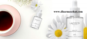 serum payudara 