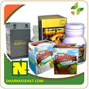 Paket Obat Herbal Alergi NASA