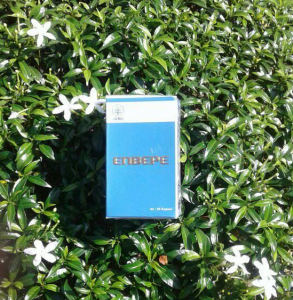 obat autis alami