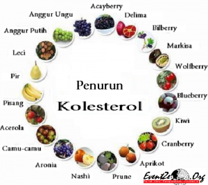 pencegahan kolesterol
