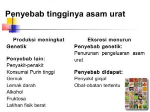 penyebab asam urat dan cara mengatasinya 