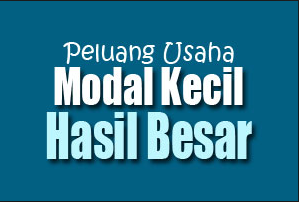 peluang usaha baru 