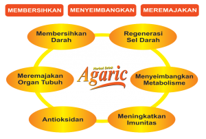agaric helbal drink