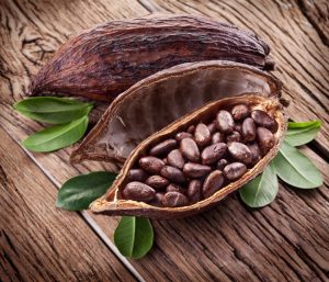 Makanan Yang Menyehatkan Sistem Saraf