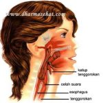 Tips Gurah Aman Yang Bisa Membuat Suara Menjadi Merdu