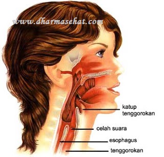 Tips Gurah Aman Yang Bisa Membuat Suara Menjadi Merdu