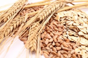 Makanan Yang Menyehatkan Sistem Saraf
