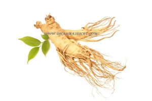 Mengetahui Manfaat Ginseng Bagi Kesehatan