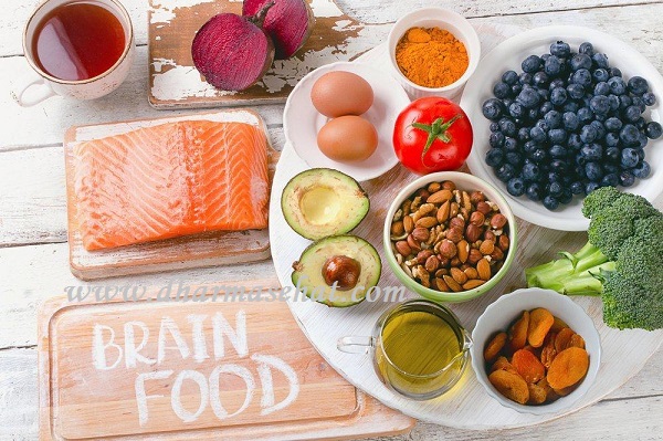 Daftar Makanan Yang Baik Untuk Membantu Perkembangan Otak Anak