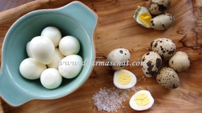 Fakta Tentang Telur Puyuh, Telur Kecil Banyak Manfaat