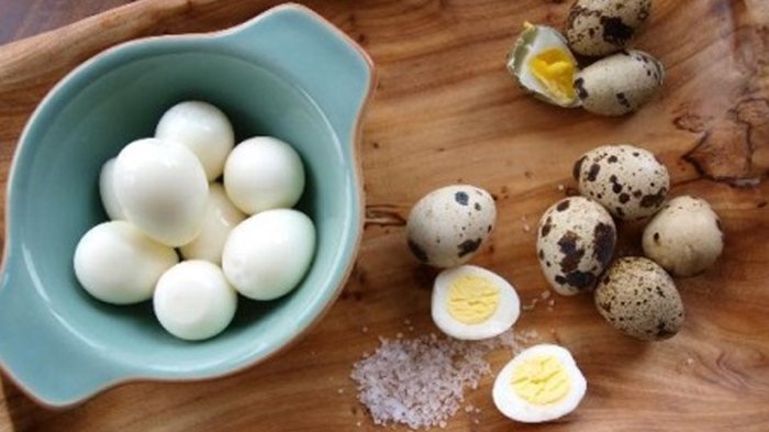 Fakta Tentang Telur Puyuh, Telur Kecil Banyak Manfaat
