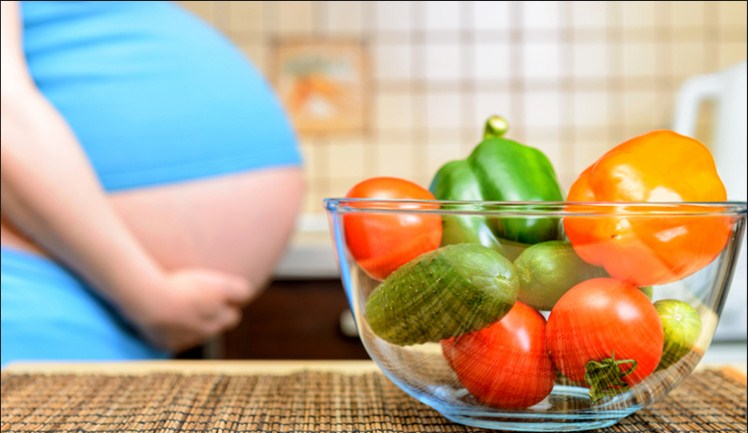 Nutrisi Yang Harus Dipenuhi Oleh Ibu Hamil