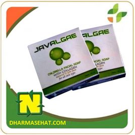 JAVALGAE
