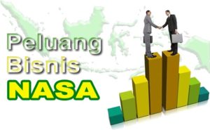 peluang bisnis nasa